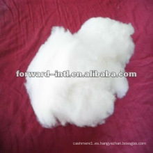 Dechaired Raw White Chinese &amp; Mongol Origin Cashmere Fiber